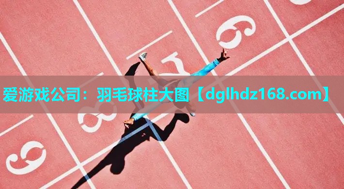 爱游戏公司：羽毛球柱大图