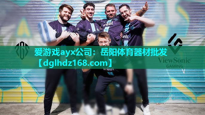 爱游戏ayx公司：岳阳体育器材批发