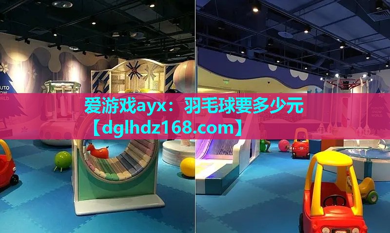 爱游戏ayx：羽毛球要多少元