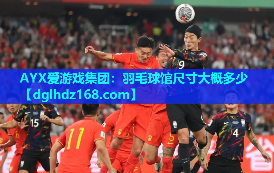 AYX爱游戏集团：羽毛球馆尺寸大概多少