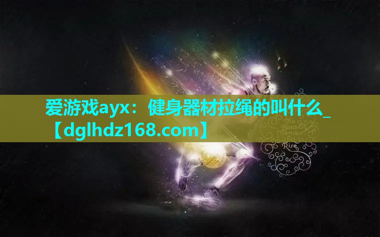 健身器材拉绳的叫什么_ 健身器材拉绳的叫什么_